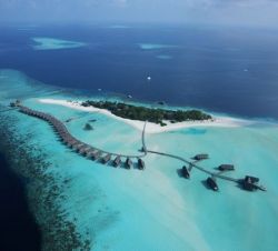 Hotels - Cocoa Island Resort
